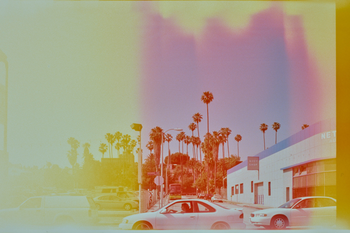 Photographs of Sunset and Hollywood Boulevard, 1965–2010. Negative frame from 35 mm film reel. Getty Research Institute, 2012.M.1. photo by © Ed Ruscha