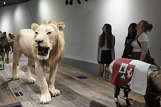 Studierende erkunden die Abteilung "Krieg und Tiere" der Dauerausstellung im Militärhistorischen Museum. © HTW Berlin / Andressa Clemente